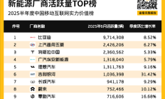中国新能源汽车活跃量TOP 10出炉:特斯拉第三 吉利银河最猛
