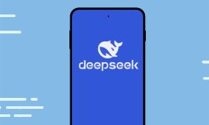 DeepSeek真的“凉”了吗 业内人士：分明是飞入寻常百姓家