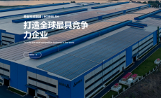 62岁女富豪自首后取保候审 曾三登胡润百富榜 丈夫儿子已入加拿大国籍