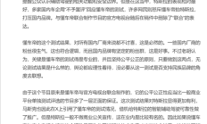 胡锡进评懂车帝辅助驾驶测试:公平公正性有保证 国产车企要敢接受不足输得起