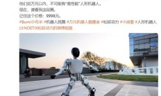 全球首款万元以内高性能人形机器人：松延动力 Bumi 小布米发布
