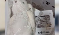 
        		胖东来新店首批面试者 领到玩偶伴手礼物 门店：那是知名品牌 价值四百元 !	