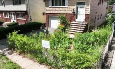 因花园太丑!纽约一华人女子被罚2000美元:申诉4次暂时和解