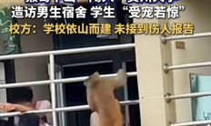 贵州大学宿舍遇“辅导猿查寝” 学生“受宠若惊” 校方:闯入猴子系保护动物 只能驱赶 !