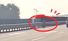 
        		脊背发凉：女子骑电动自行车上高速 在最左侧车道逆行 !	