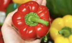 女子跟风女星生吃彩椒碗：结果感染钩虫