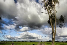 词语阐述剖析:暗度陈仓猜打一正确生肖暗度陈仓什么意思,精准文化解析释义落实