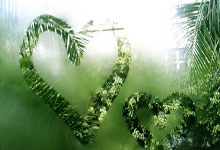 词语解析:豁达先生是打什么生肖豁达先生是什么生肖,猜一最佳正确词语梳理解释