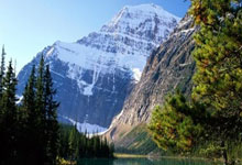 词语阐述剖析:龙蟠凤逸是什么生肖龙蟠凤逸是什么意思,精准文化解析释义落实