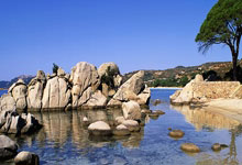 词语阐述剖析:暗度陈仓猜打一正确生肖暗度陈仓什么意思,精准文化解析释义落实